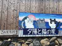 Ogijima: The Cat Island of the Seto Inland Sea! 🐱🏝️