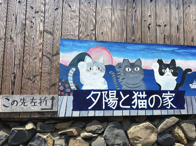 Ogijima: The Cat Island of the Seto Inland Sea! 🐱🏝️