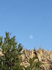 Hayaat: Wheee The Desert Steams