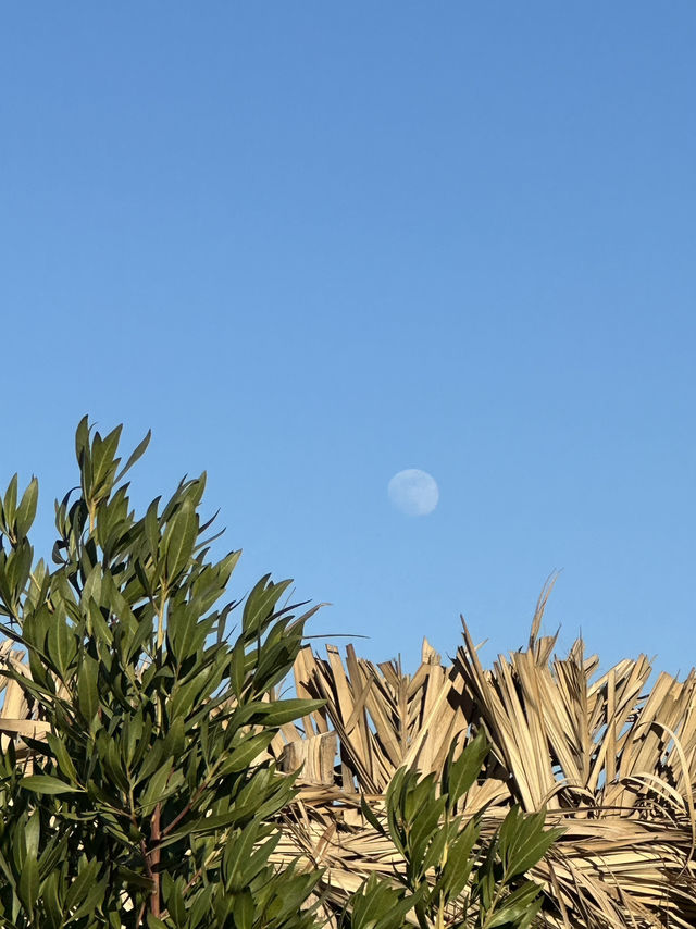 Hayaat: Wheee The Desert Steams