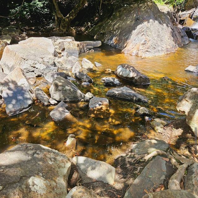 Ton Nga Chang Wildlife Sanctuary