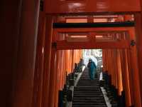 【伏見稲荷大社】千本鳥居の幻想世界へ⛩️願いを込めて歩く、朱のトンネル