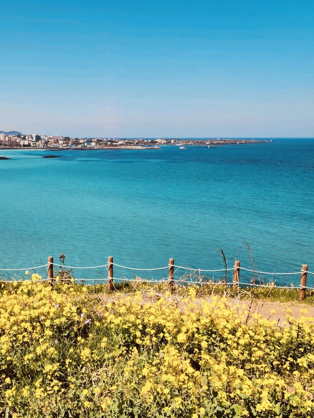 A Natural Balcony Overlooking Jeju's Eastern Coast