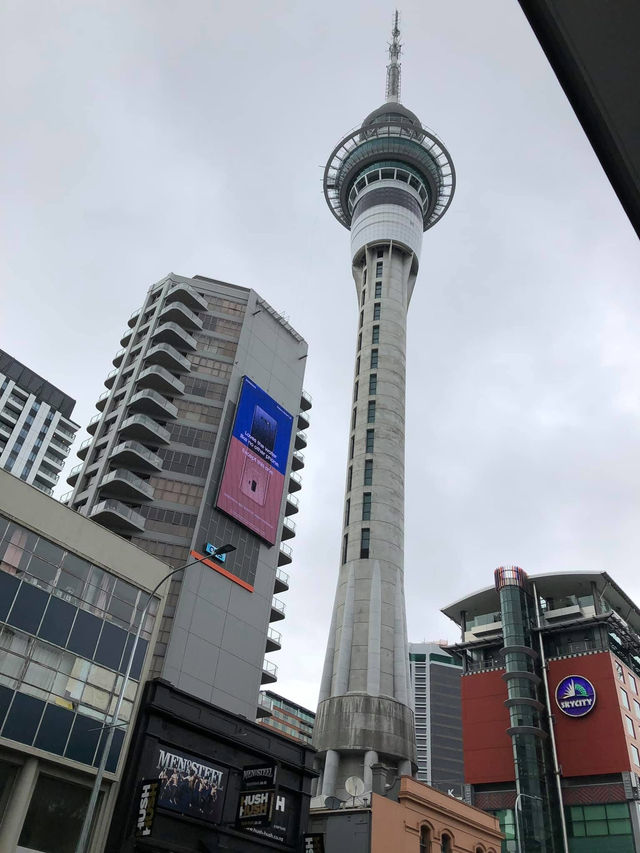 紐西蘭地標 天空塔 天空賭城