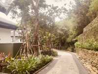 🐒 峴港洲際度假酒店：與猴子鄰居say hi！獨享絕美私人海灘！🌴
