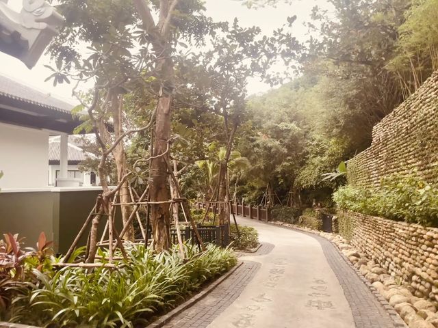 🐒 峴港洲際度假酒店：與猴子鄰居say hi！獨享絕美私人海灘！🌴