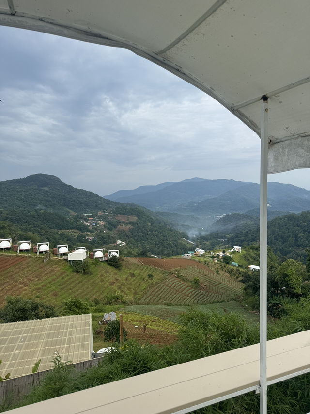 係清邁其中一件想做嘅事，住係山中嘅帳篷🏕️