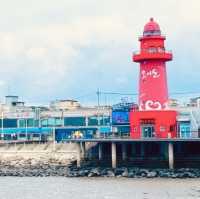 🌊🚲 *Ansan Daebudo Island: Seoul’s Secret Seaside Escape* 🌾🌉