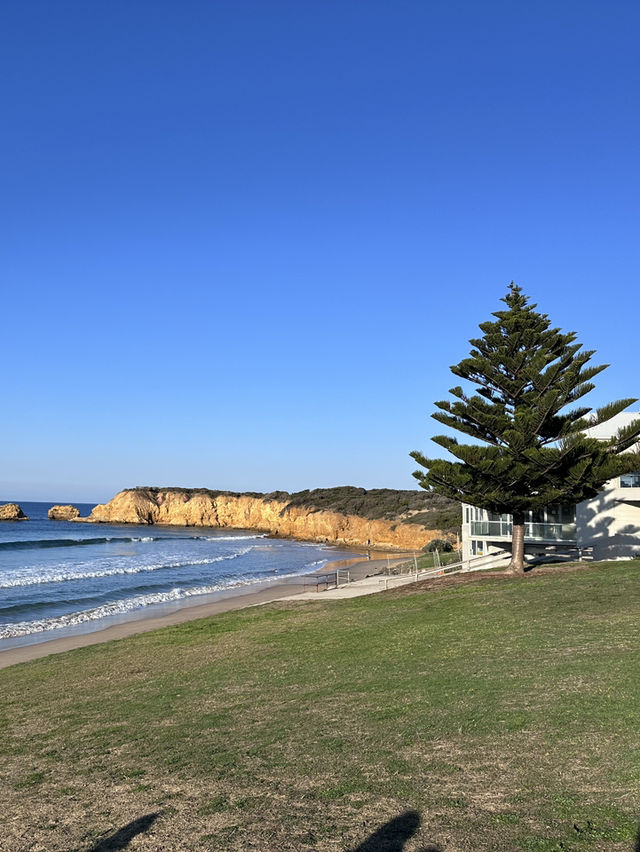 🚗 Coastal Dreams & Summer Vibes: A Great Ocean Road Getaway 🌞