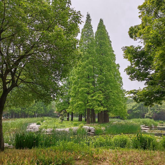 【中国/青島中山公園】