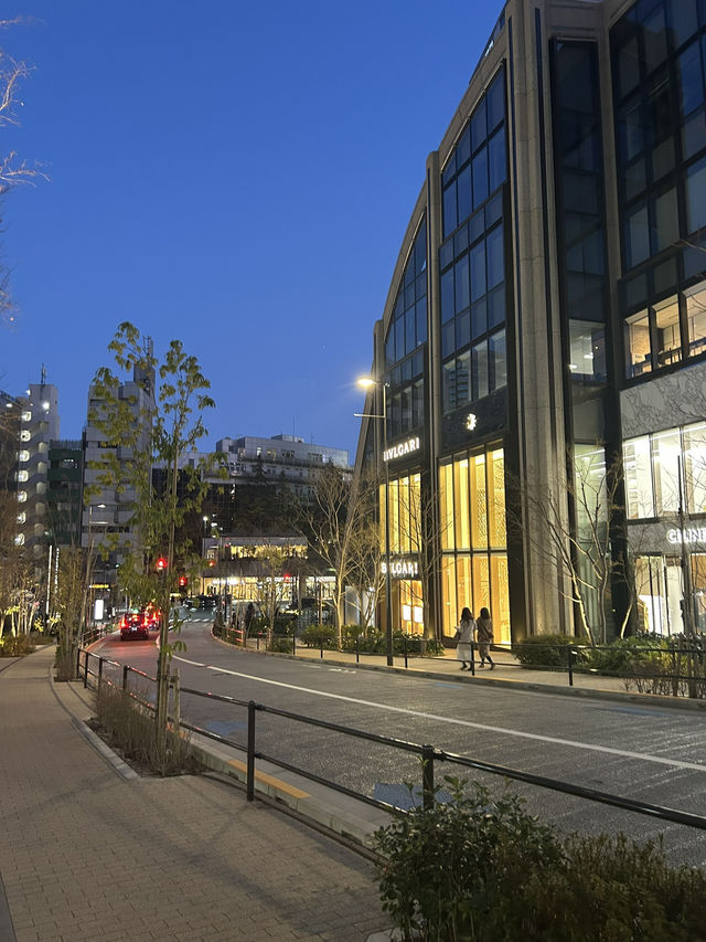 Tokyo 2025 Itinerary
