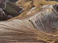 Longsheng Rice Terraces: A Golden Ladder to the Sky