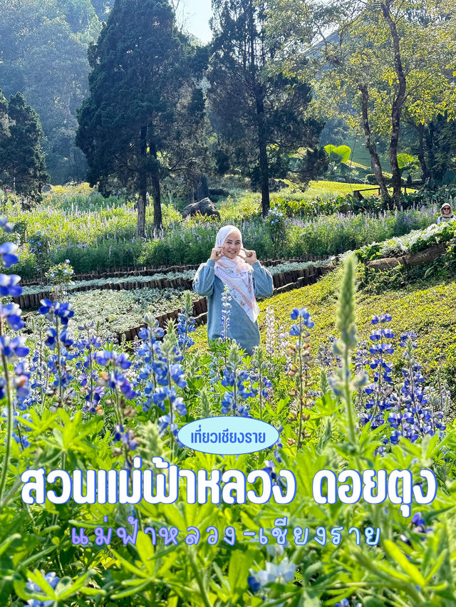 ดอยตุง สวนแม่ฟ้าหลวง