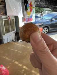 馬六甲古蹟與美食小旅行