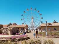 Soleil Hill is a year‑round floral haven with sweeping views of Izu Oshima and Mount Fuji