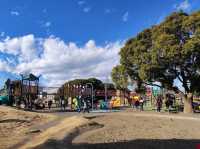 Spacious park with seasonal flowers and a peaceful pond,