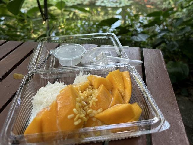 🌿 清邁・Cochet Hotel 科切特酒店
