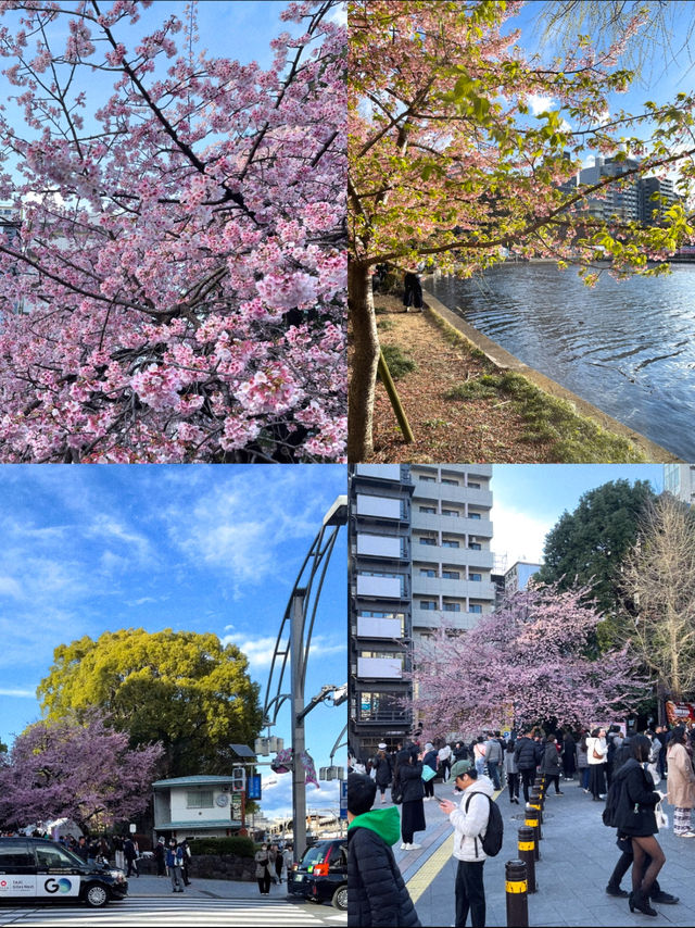 6 Location Tokyo ⛩️  6 Location Tokyo ⛩️