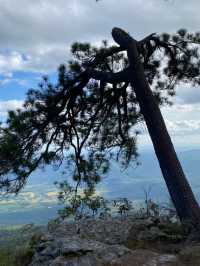 ครั้งนึงเคยพิชิต “ภูกระดึง” ⛰️🏞️🌄