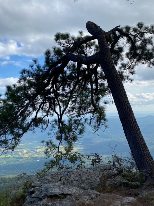 ครั้งนึงเคยพิชิต “ภูกระดึง” ⛰️🏞️🌄