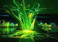 Enchanted forest light show at the Greenhouse