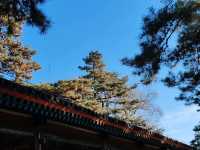 The Summer Palace: Yanbo Zhishuang Hall – Emperor's Summer Retreat