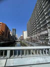 🇯🇵 Meguro River