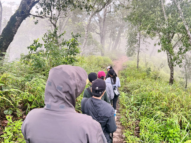 อุทยานแห่งชาติดอยขุนตาล อุทยานแห่งชาติดอยขุนตาล