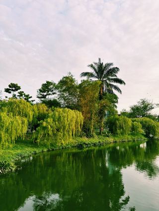 Ketenangan Malam di Taman Jaya Park