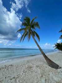 Tropical Paradise at Isla Saona