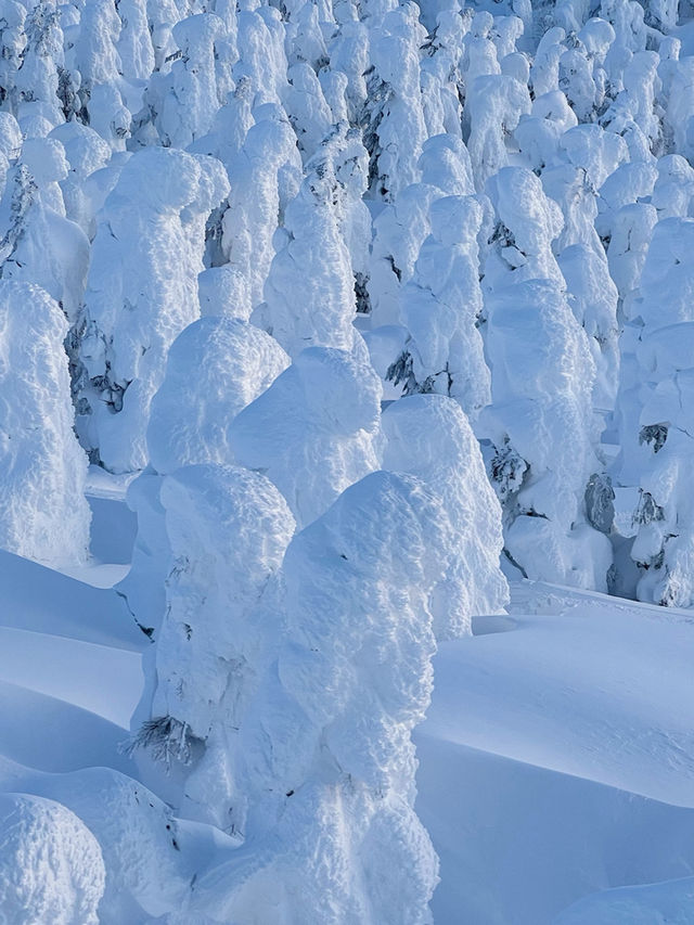 Zao onsen ski resort 