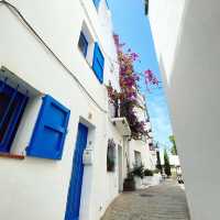 Exploring the Seaside Beauty of Cadaqués