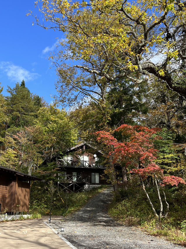 บ่อทสึตะนุมะ (Tsutanuma Pond)