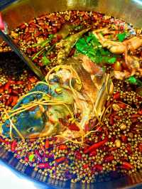 深圳｜張想想美蛙魚頭