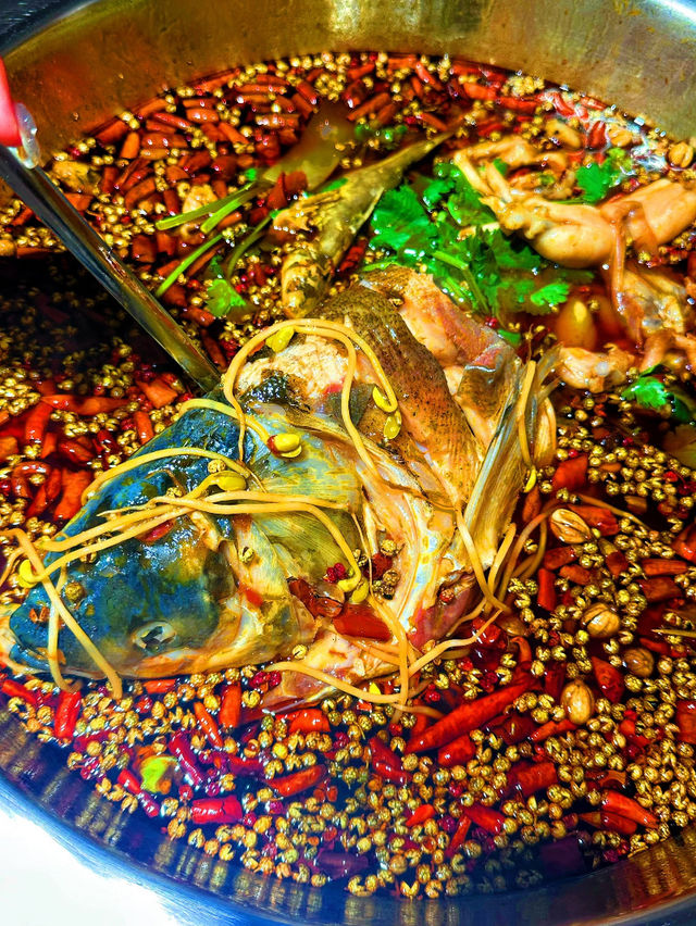 深圳｜張想想美蛙魚頭