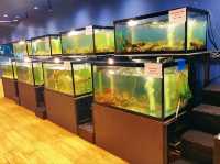 Lung Sawai Seafood – Authentic Thai Flavors