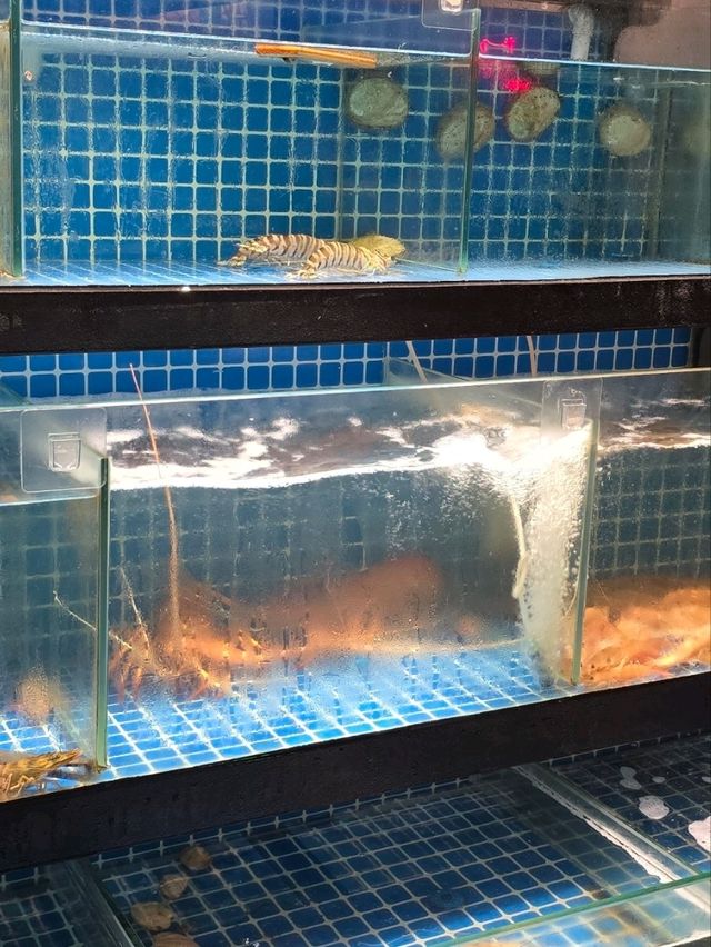 火焰新鮮龍蝦煱湯底試過沒有？