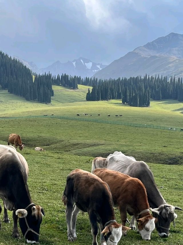 Nalati: A Timeless Nomadic Paradise