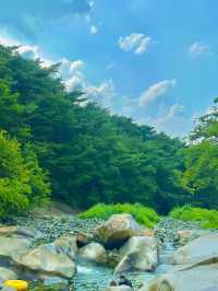✨ 울산에서 거제까지, 두 도시를 잇는 여행 기록 📝