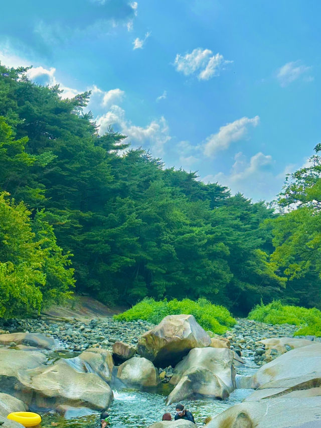 ✨ 울산에서 거제까지, 두 도시를 잇는 여행 기록 📝