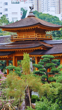 สวนหนานเหลียน ความสงบกลางมหานครฮ่องกง