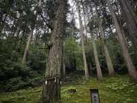 【福井】/勝山/白山神社の総本山！日本の山信仰を代表する神社