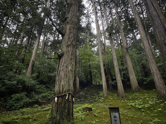 【福井】/勝山/白山神社の総本山！日本の山信仰を代表する神社