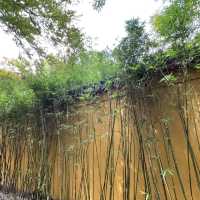 🛕 Xiyuan Temple — The Largest Buddhist Temple in Suzhou