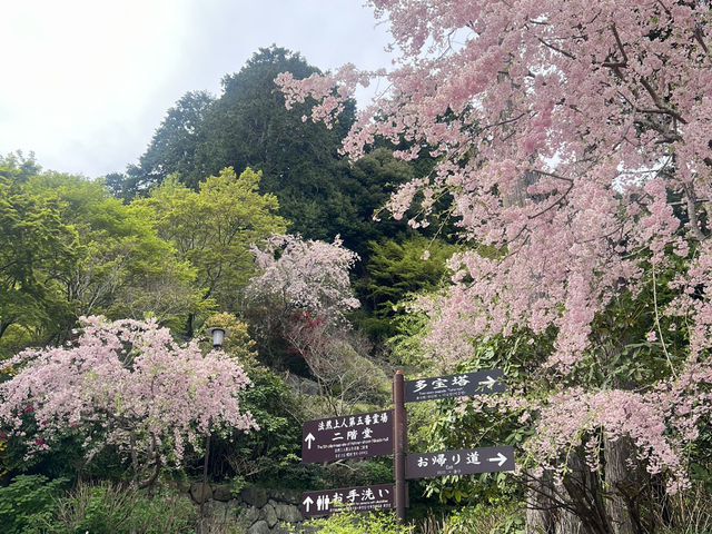 #勝尾寺