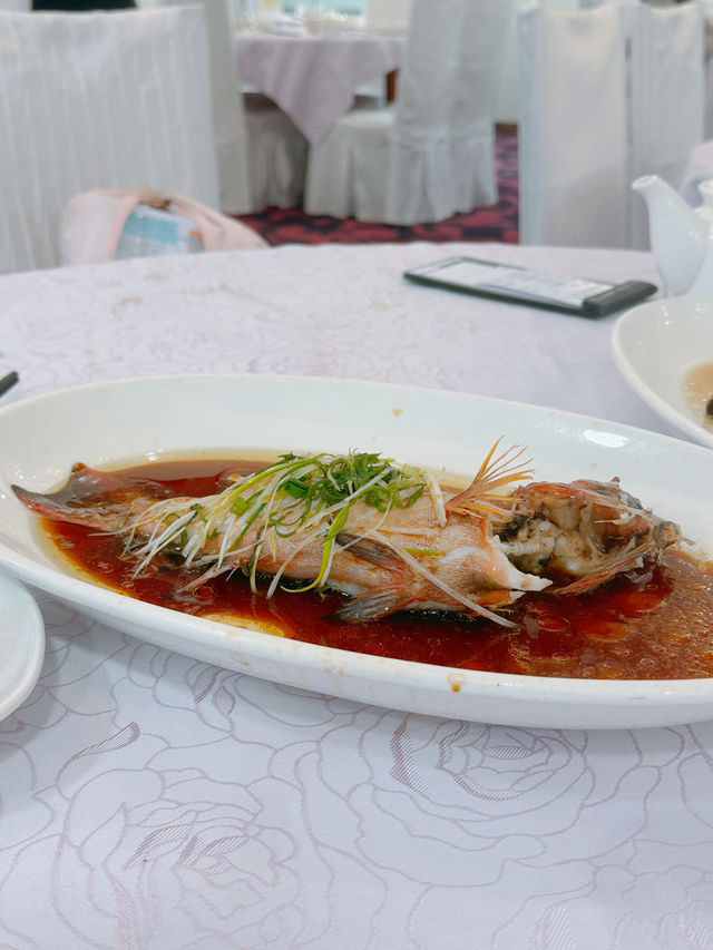 尖沙咀高質酒樓海鮮大滿足🦐