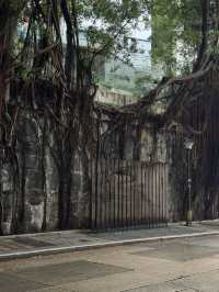 ถนนคนเดินสุดอาร์ต “Hollywood Rd”