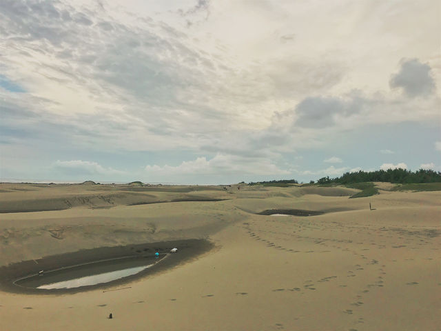 頂頭額沙洲 頂頭額沙洲