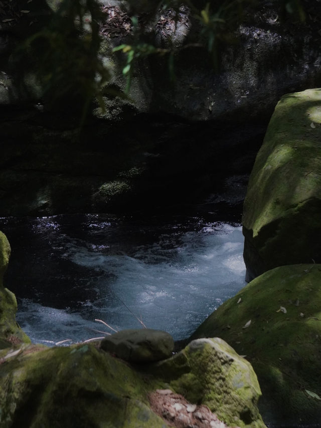 💧 富田の水と山道の小さな滝（和歌山・白浜町）