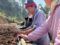 สวนยาหลวง จ.น่าน